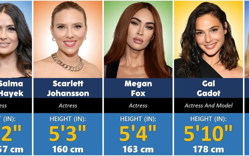 好莱坞身高最高的女明星_好莱坞身高明星女排名单_好莱坞身高女明星