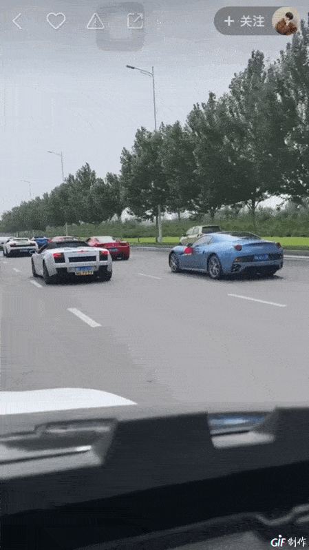 快手网红大八卦事件,_牌牌琦成为网红_牌牌琦拜师学艺