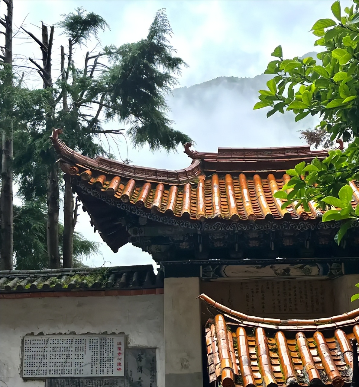 网红的黑料网站有哪些,_寺庙女网红经历_寺庙方丈安全提醒